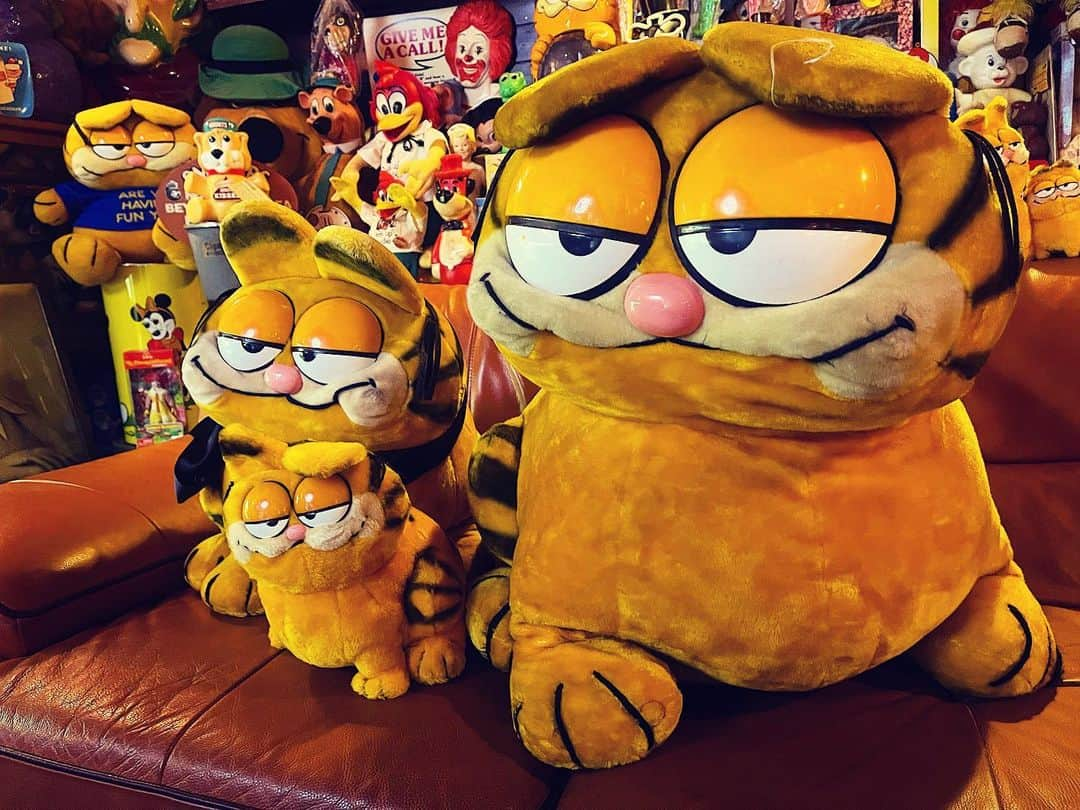 大川知英のインスタグラム：「81's Garfield plush doll  king'large' small '🇺🇸 サイズがどこまであるか分からない けど、とにかくBIGサイズはたまらないね🤤 一番奥のガーフィが不貞腐れてる👨🏾 もっとおデカイのいつかズッポシ..upi🦧 #garfield#plushdoll#king#large#small #81s#vintage #スーパーデカイのいつか #可愛い猫#amecajiboys#zupposiswamp #vcc#youtube#captain」