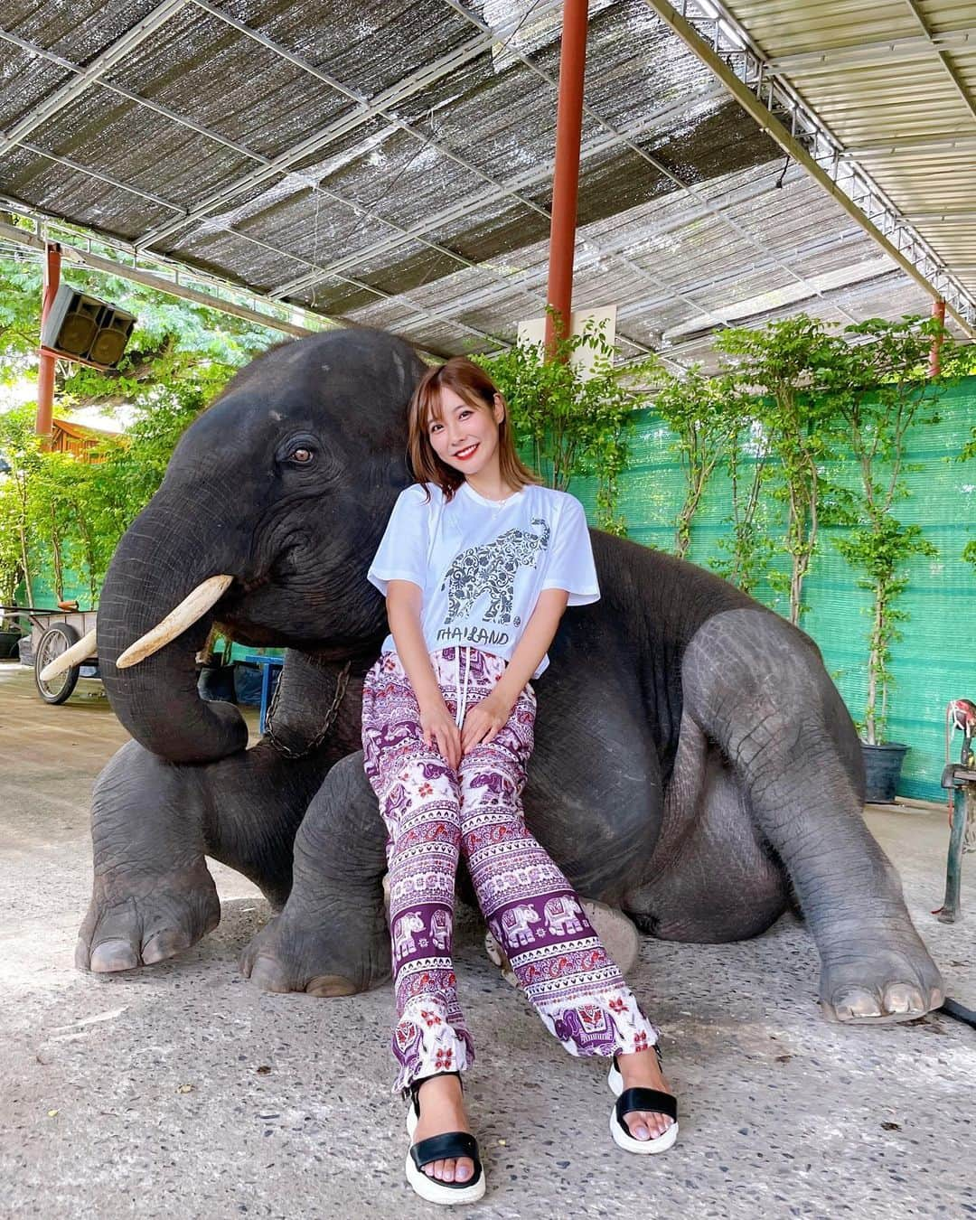 みまるのインスタグラム：「🛕☀️🐘🌼🌿  アユタヤでゾウさんぽ💫 4枚目動画みてね🐘  #みまる #mimaru #🇹🇭 #海外移住 #タイ #バンコク #タイ移住 #バンコク生活 #bangkok #thailand #海外生活  #海外旅行  #ナチュラルライフ #干物女 #自由人 #youtuber #バンコク情報  #みまるチャンネル #在タイ日本人 #在タイ #バンコク駐妻 #バンコク観光 #バンコク旅行 #アユタヤエレファントキャンプ #アユタヤ #アユタヤ遺跡 #ayutthaya #アユタヤ観光」