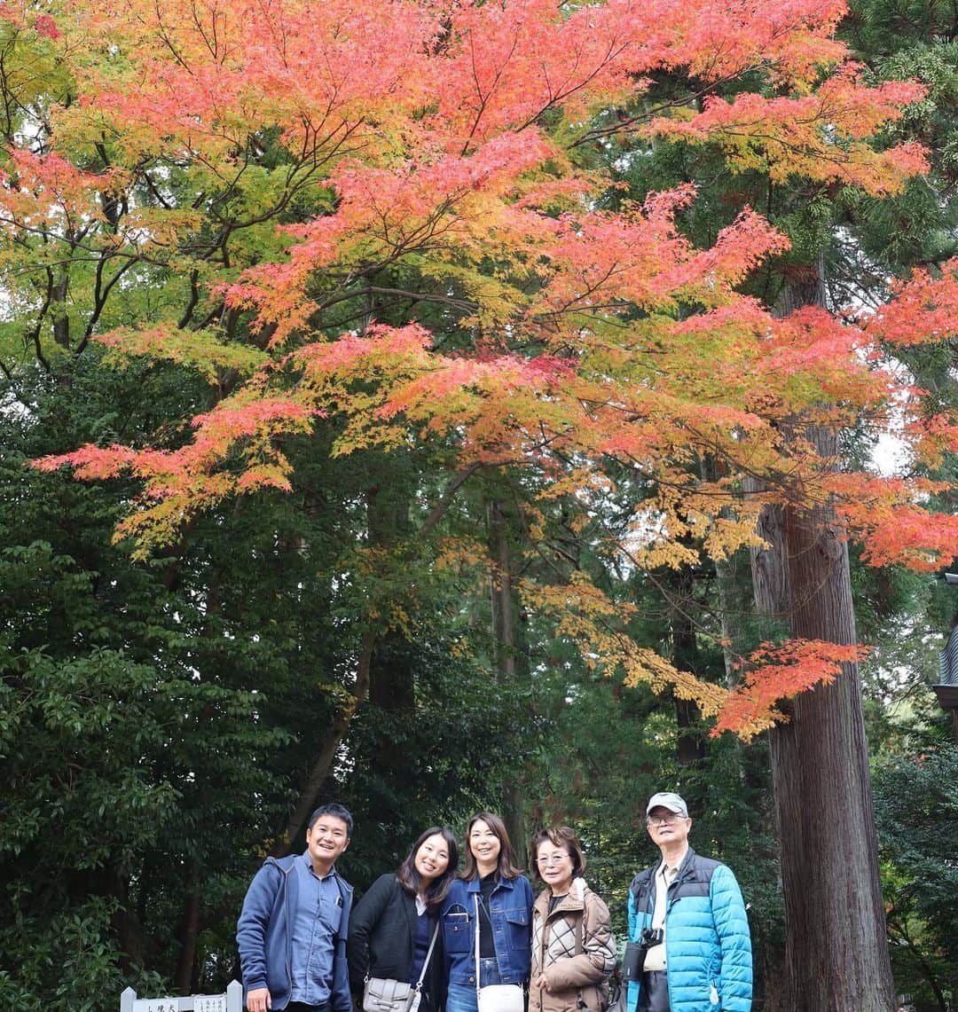 新嶋莉奈さんのインスタグラム写真 - (新嶋莉奈Instagram)「秋だった！」11月21日 16時41分 - rina_niijima