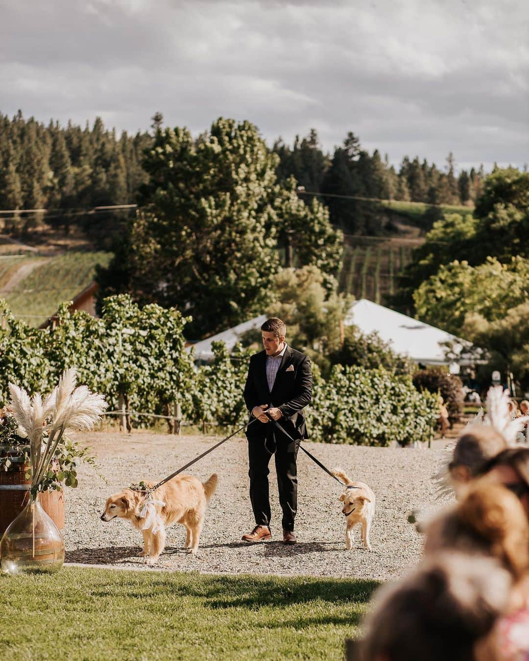 ブリタニー・ロジャースさんのインスタグラム写真 - (ブリタニー・ロジャースInstagram)「you knew this post was coming… the stars of the show. dog friendly venue was a nonnegotiable 🤷🏼‍♀️」11月22日 3時16分 - brittyrogers