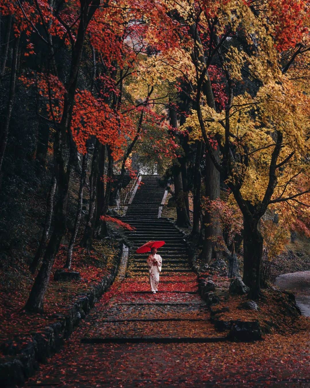deepskyのインスタグラム：「Rainy in Autumn' s Kyoto / 雨の秋の京都 . . #kyoto #authmn #京都 #紅葉  . . . #lonelyplanet #voyaged #stayandwonder  #awesomephotographers  #complexphotos  #sonyalpha  #roamtheplanet  #lovetheworld  #beautifuldestinations #landscapephoto #landscapelovers #travel  #roamearth #photography #earth #earthpix」