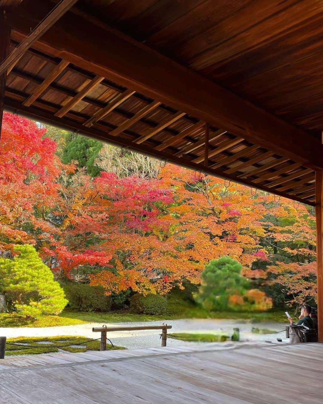 梅村遥奈のインスタグラム：「. . . 🍁 . . . #京都 #京都観光 #京都グルメ #京都カフェ #京都紅葉 #京都ランチおすすめ #京都旅行 #京都スイーツ #紅葉 #紅葉スポット #南禅寺」