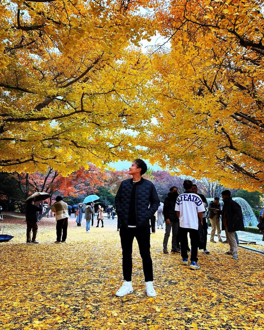 菅澤優衣香のインスタグラム：「紅葉🍁  #国営昭和記念公園  #昭和記念公園  #紅葉 #いちょう #モミジ #女子サッカー #サッカー #dayoff  #soccer  #🍁 ・ ・ 2022.11.20  📸photoby @fukumura1214」