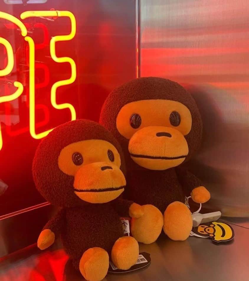 Rinoのインスタグラム