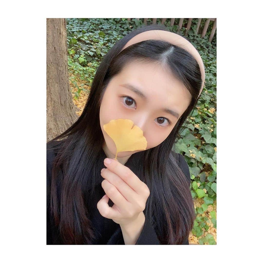 大島璃音のインスタグラム：「🌲🎗  何度見ても、紅葉していてもしていなくても好きな景色です♡  #紅葉  #神宮外苑いちょう並木  #銀杏並木  #いちょう  #カチューシャ」