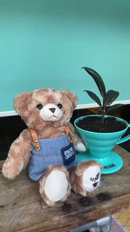 AMAZING COFFEEのグルメインスタ