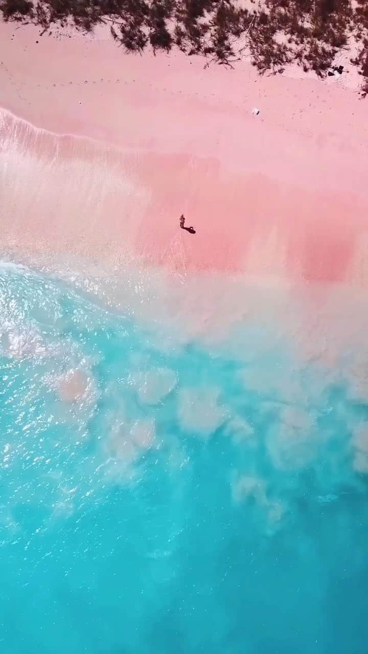 のインスタグラム