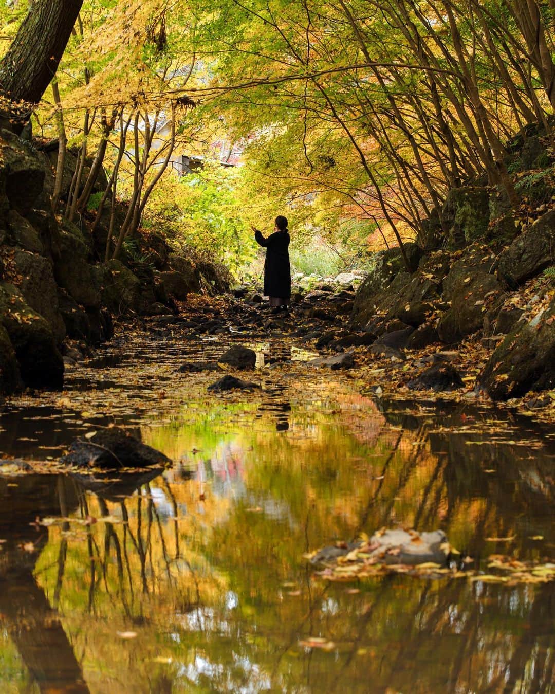 Takefumi Tezkaのインスタグラム：「✴︎落葉リフレ🍁 ✴︎ ✴︎」