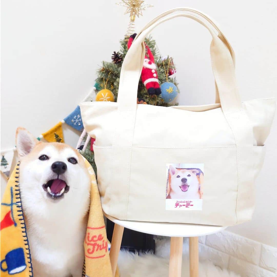 ちゃみのインスタグラム