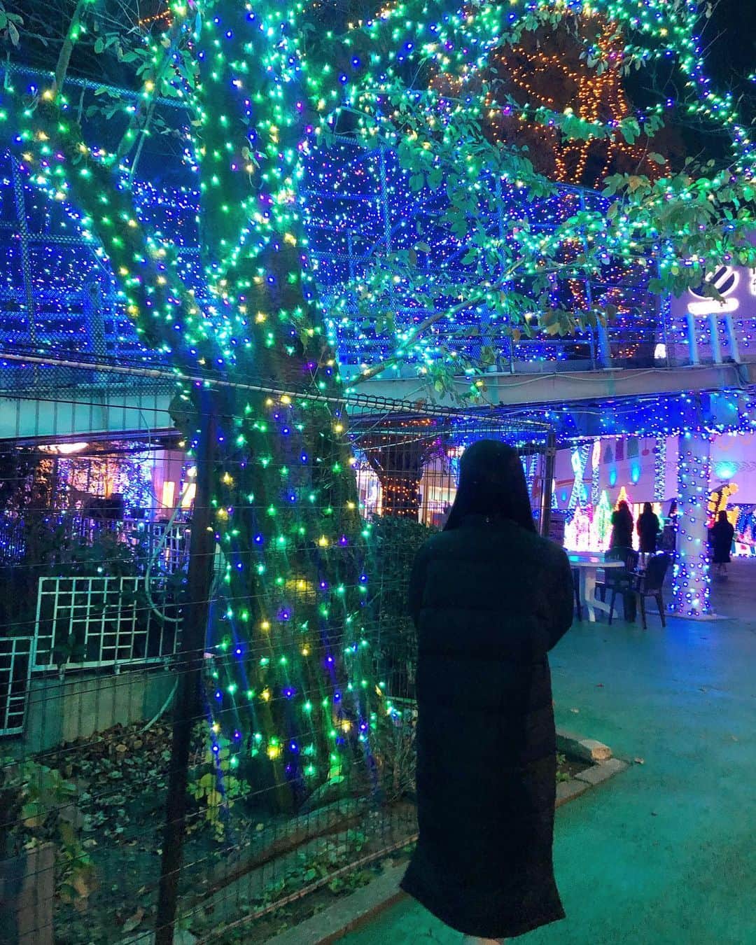 山下彩耶のインスタグラム：「4年前の写真🎄  本格的な冬がくる〜わくわく⛄️」