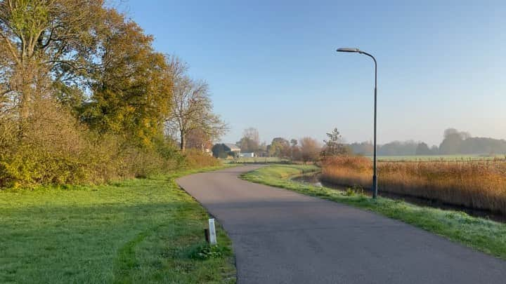 高木美帆のインスタグラム：「静かなとある日の朝の散歩  🇳🇱×青空  平日お仕事学校の人は折り返しですかね！ 今日も一日頑張りましょう💪 私はこれから🛌💤  #わたしのすきなもの」