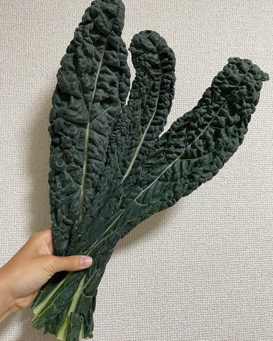 長谷川涼香のインスタグラム