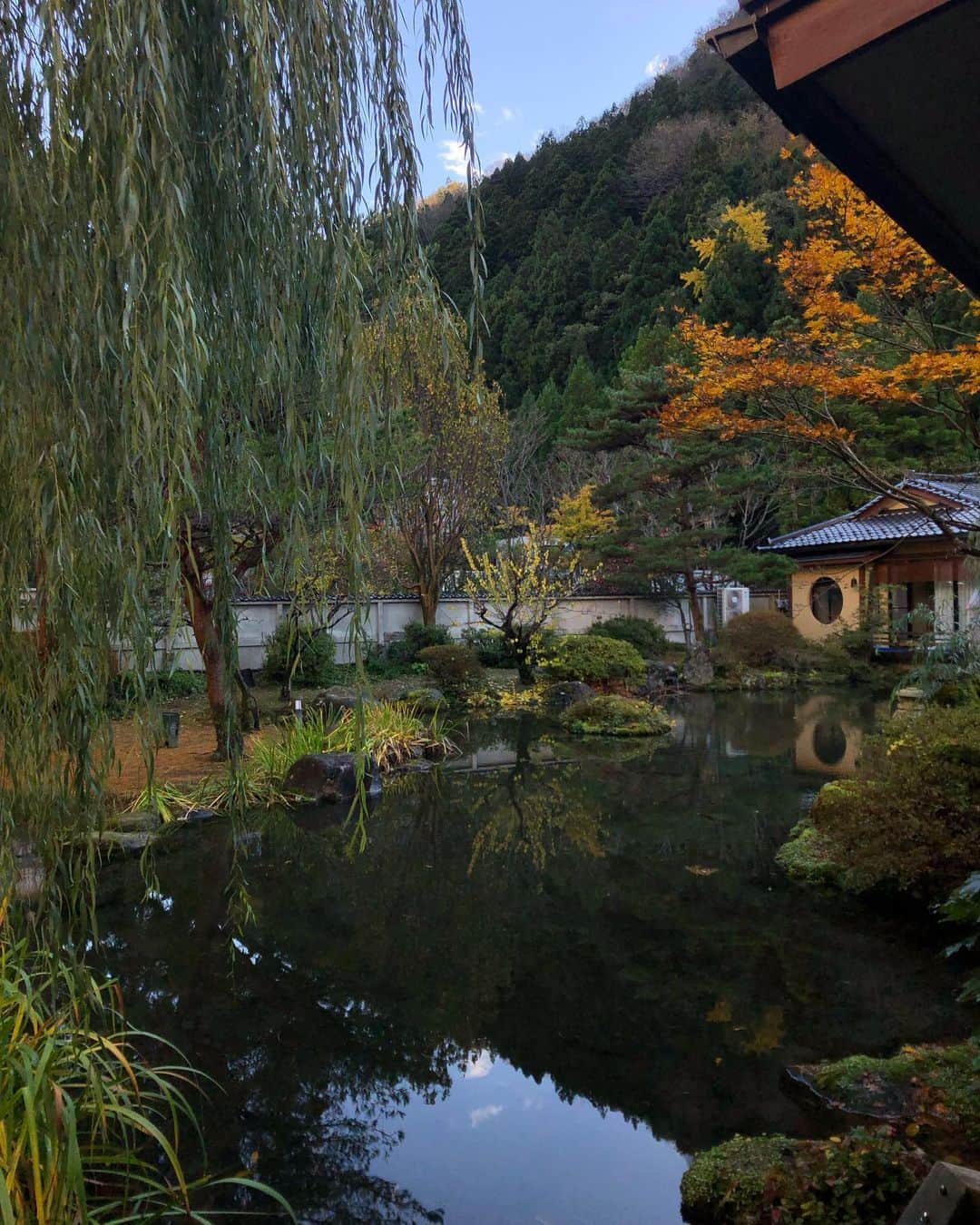 安倍実香さんのインスタグラム写真 - (安倍実香Instagram)「コロナ禍以降初めての母娘旅で、山形へ。 母が若かりし頃泊まったとのたちばなやに宿泊。古き良き趣漂うなんとものんびりなお宿、、☺️ お部屋はぐるっと日本庭園を囲むように配置されていたので、水の音が心地よかった！あとおこたが幸せでした。 山形観光は山居倉庫へ。そこのケヤキ並木はちょうど落葉しておりました。そして加茂水族館のアシカやアザラシはずっと眺めていたい愛おしさでした🦭 #山形観光 #山形旅行 #たちばなや #山居倉庫 #加茂水族館」11月23日 21時04分 - fumika_insta