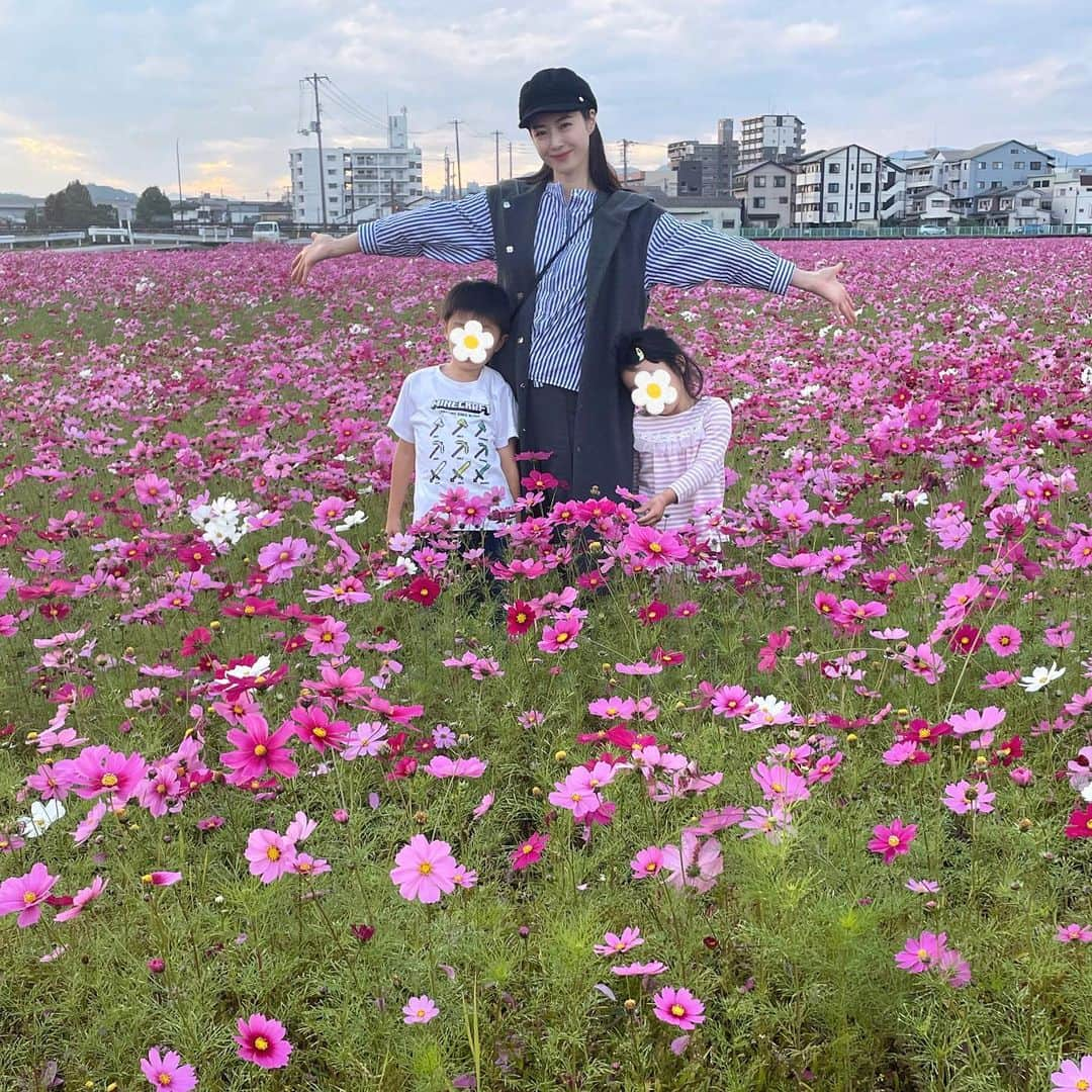 白田久子のインスタグラム