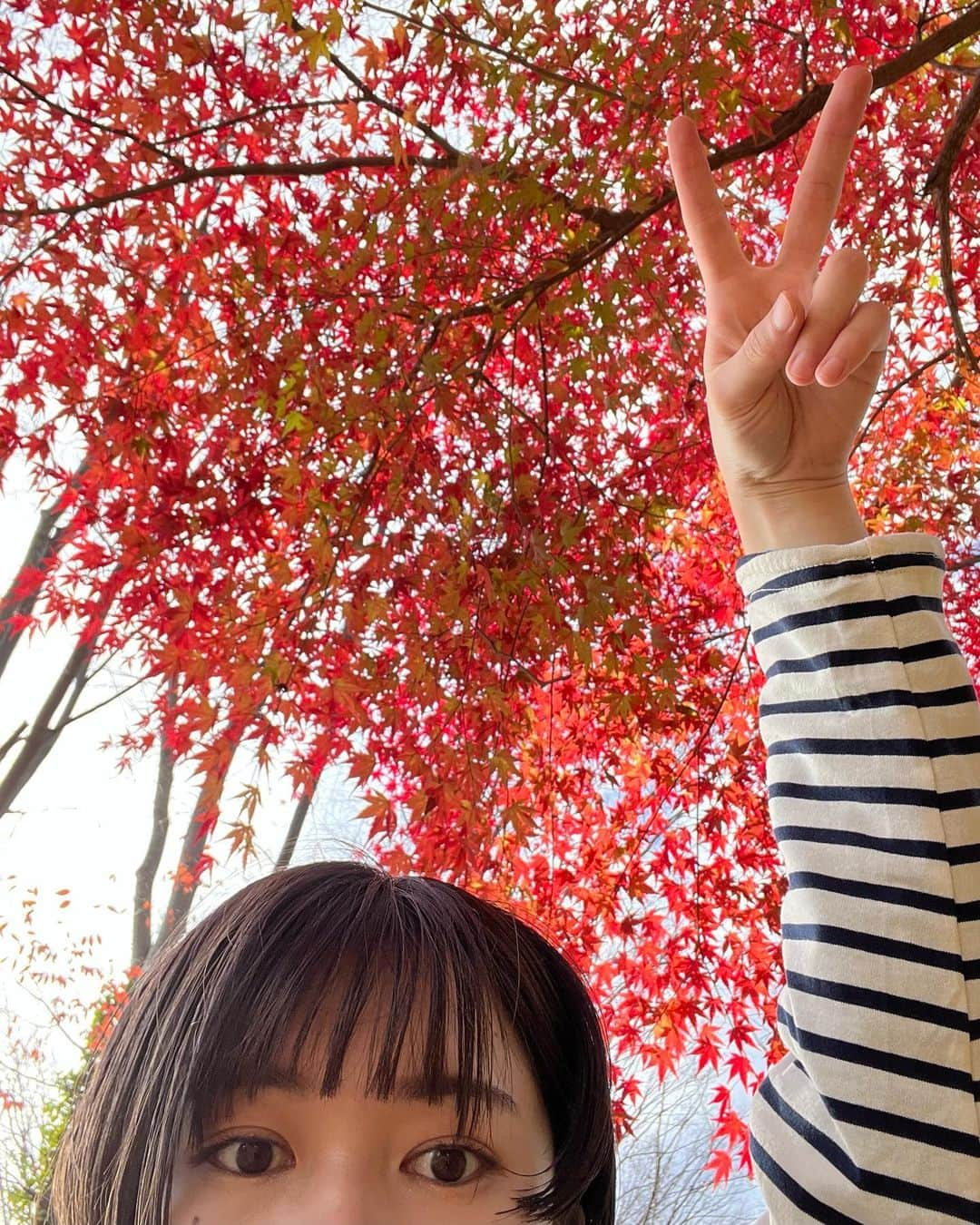 樫本琳花のインスタグラム：「last紅葉🍁？」