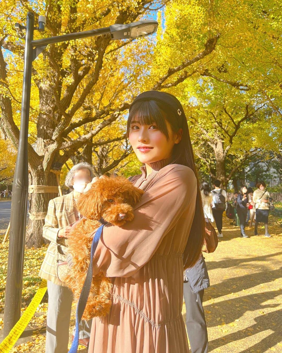 のインスタグラム：「こないだのお散歩🍂 ぽかぽか陽気でおねむなねぎくん🐶♡ ののさんちのわんちゃんです🫶🏻 キュートすぎて癒されたあ…(〃’‐’〃)  まつ毛は @futuro_eyelash さんで根元からバッチリあげて頂きました👀✨  #神宮外苑いちょう並木 #いちょう並木 #ca4la #pinue #秋コーデ #ロングワンピース」