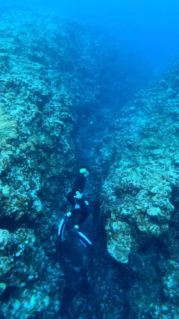 Hikaru Nakamuraのインスタグラム：「久米島マンタ探し 今回は仕事で来島🐬 すっかり、海人になりました🦭  #久米島#沖縄#素潜り#スキンダイビング#ウミガメ#ダイビング#海#okinawa#skindiving#freediving」