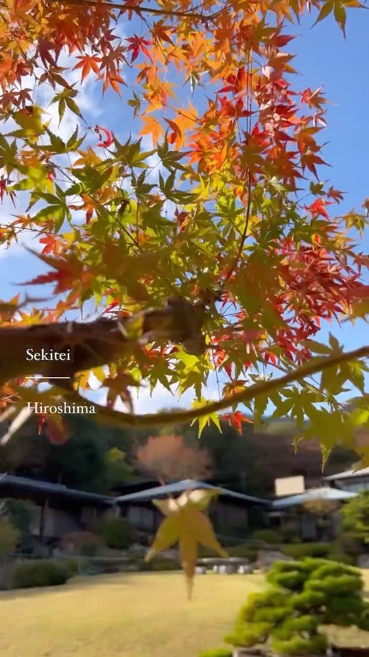 八幡美咲のインスタグラム：「大切な人と優雅な時間が過ごせる石亭🍁⠜  あす5up!「ググッと。瀬戸内」で放送予定です！ 中四国地方にお住まいの方は 夕方の情報番組でご覧になれます☺️    日本庭園に、温泉に、豪華ランチ 幸せな時間でした☺️ また行きたいな(*´﹃｀*)💓  📍庭園の宿 石亭 広島県廿日市市宮浜温泉3-5-27   📍アクセス 山陽本線「大野浦駅」より車５分　「宮島口駅」より車15分  な ん と  送迎付き！ 希望者には最寄りの「大野浦駅」と 宮島口駅前の姉妹店「あなごめし うえの」へ送ってもらえます☺️  📞0829-55-0601   _______________________  撮影の裏側。  宮島を望む高台に佇む『庭園の宿 石亭』へ。 憧れの旅館へ☺️💓 こんなに素敵なお昼豪華ランチをいただけて 幸せでした☺️ どんなお料理が出てくるかは 放送でぜひチェックしてみてください☺️💕  温泉も入れて散策もできる この昼食豪華プラン！贅沢すぎます😵‍💫･°  詳しくは 11月25日の5up! 【ググッと。瀬戸内】で放送されます✨  中四国地方にお住まいの方🙋‍♀️ 同じ日の夕方にテレビ朝日系列で 放送されますので お時間許す方はぜひご覧下さい☺️♡  旅館で過ごした数時間、幸せでした。 ぜひ大切な人を連れて行ってあげてください(*´ч`*)  私は両親と祖母を連れて行ってあげたいな👏🏻 ̖́-  ps このワインの部分は 尺の関係でなくなく地上波ではカットしたので インスタでお見せしました☺️‪‪❤︎‬ 放送では違ったところが見られますよ🌱𓂃 𓈒𓏸 ワインと懐石料理 とーっても美味しかったです🥰  #石亭 #旅館」