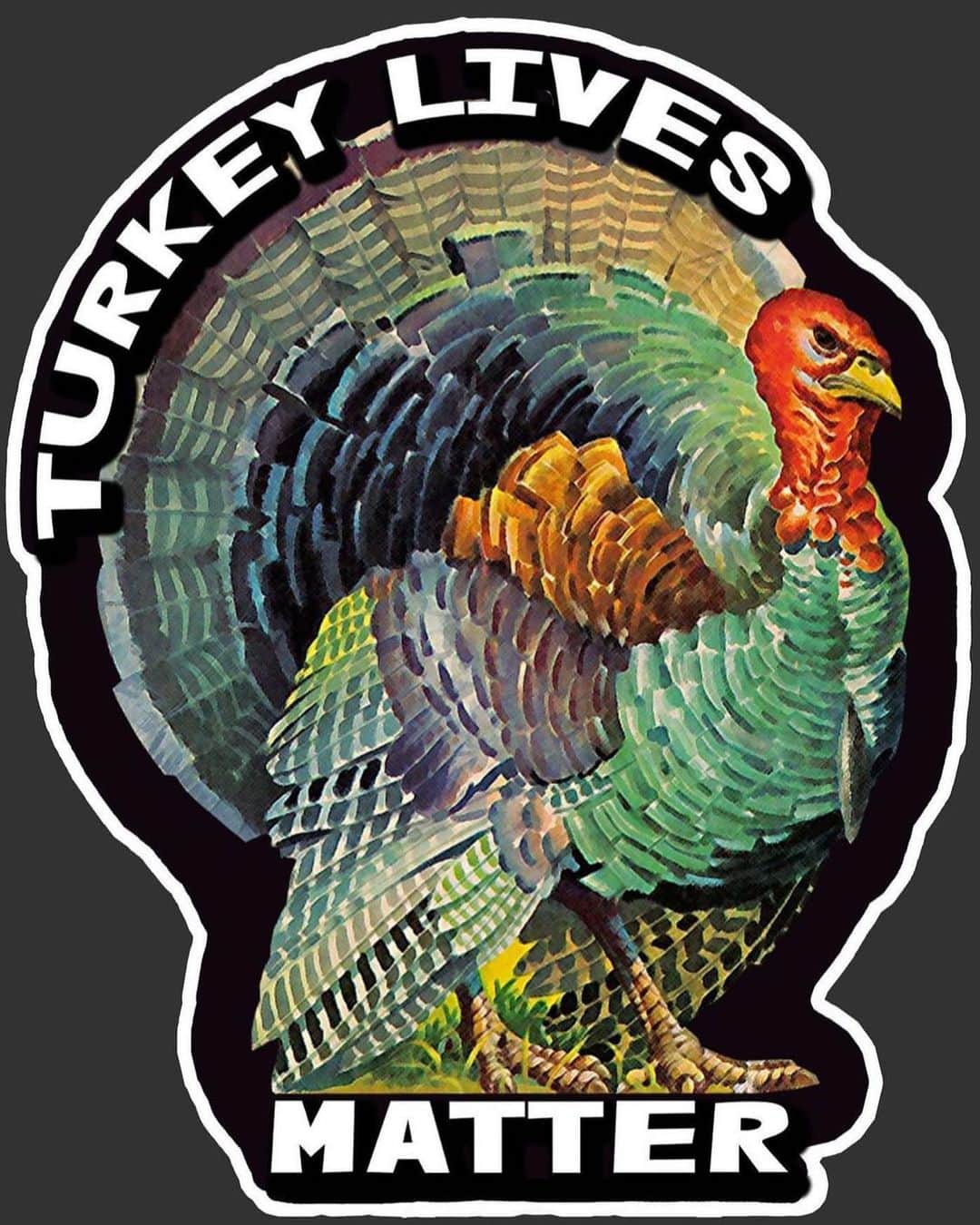 レッドフーのインスタグラム：「#turkeylivesmatter」