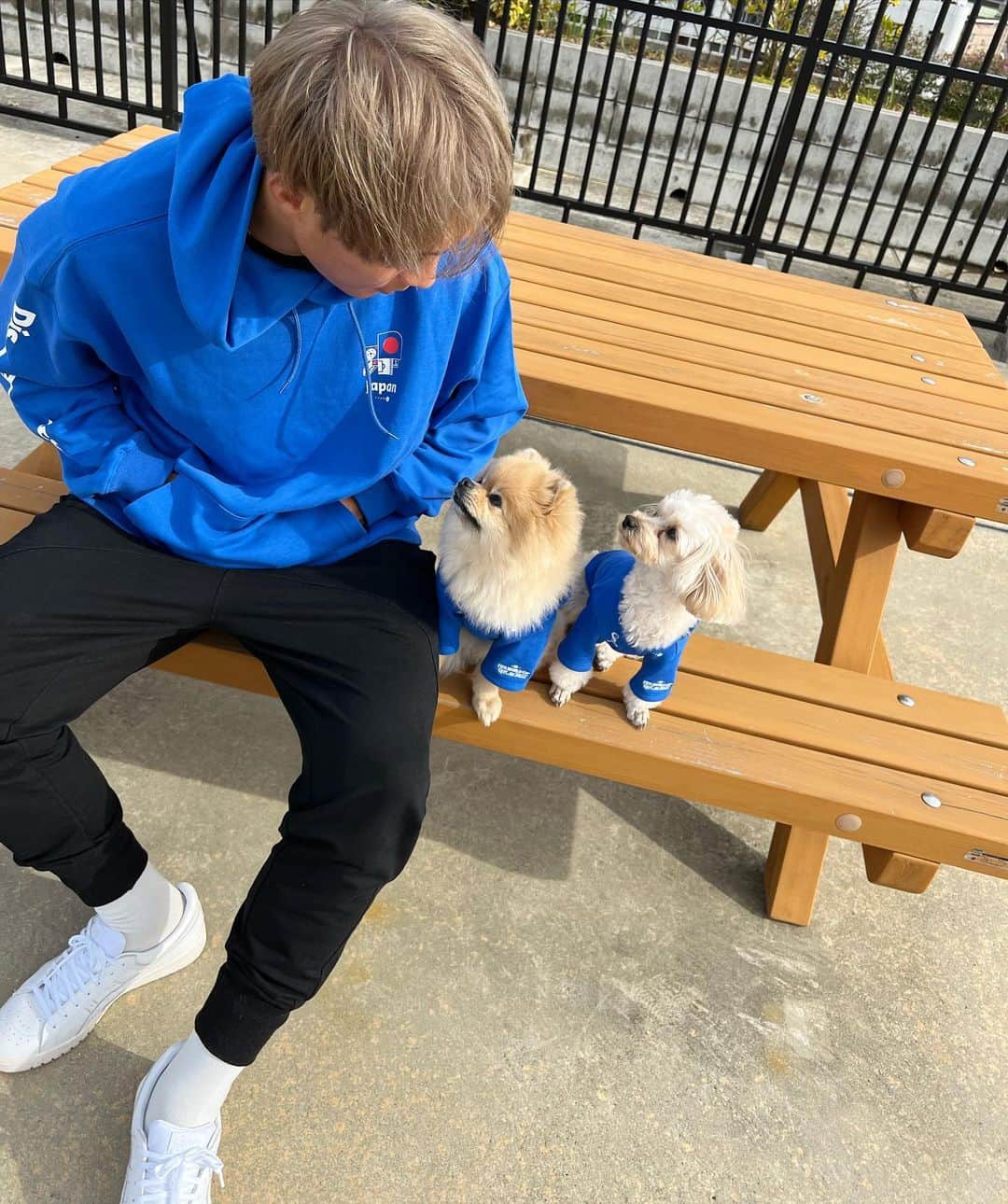 飯田貴敬のインスタグラム：「犬とお揃いのFIFA 公式ライセン ス商品が日本で唯一 @urbandogtokyo から発売され たので一緒に着て応援します🇯🇵  #urbandogtokyo #ペットと楽しむワールドカップ #頑張れ日本🇯🇵 #昨日のドイツ戦2匹とも爆睡してたけどね #PR」