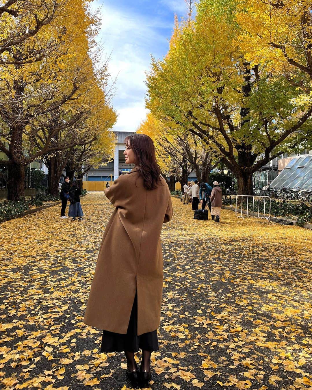 藤原万由子さんのインスタグラム写真 - (藤原万由子Instagram)「. . いちょう並木。 昨日と打って変わってほんとにあったかくて青空が真っ青な午前中でした。 たくさん歩いて、食べて、いつも通りのサウナで締める🙌」11月24日 21時43分 - mayuko_fujiwara