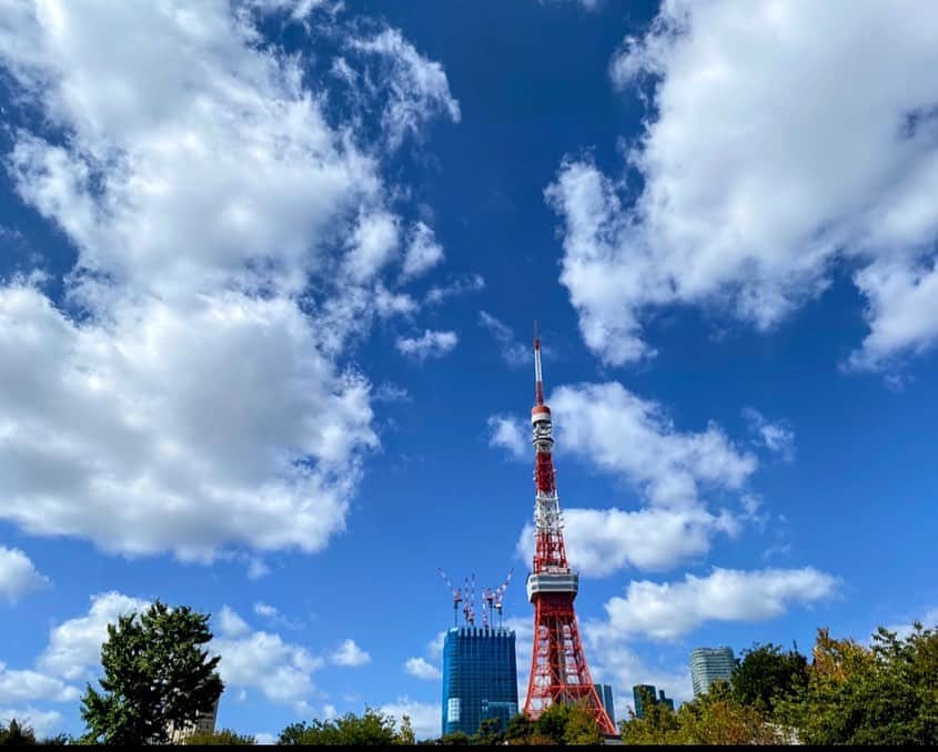 井川ちさと（新尾きり子）さんのインスタグラム写真 - (井川ちさと（新尾きり子）Instagram)「✨️🦦✨️」11月25日 0時07分 - ki_ri_ko_ni_i_o_