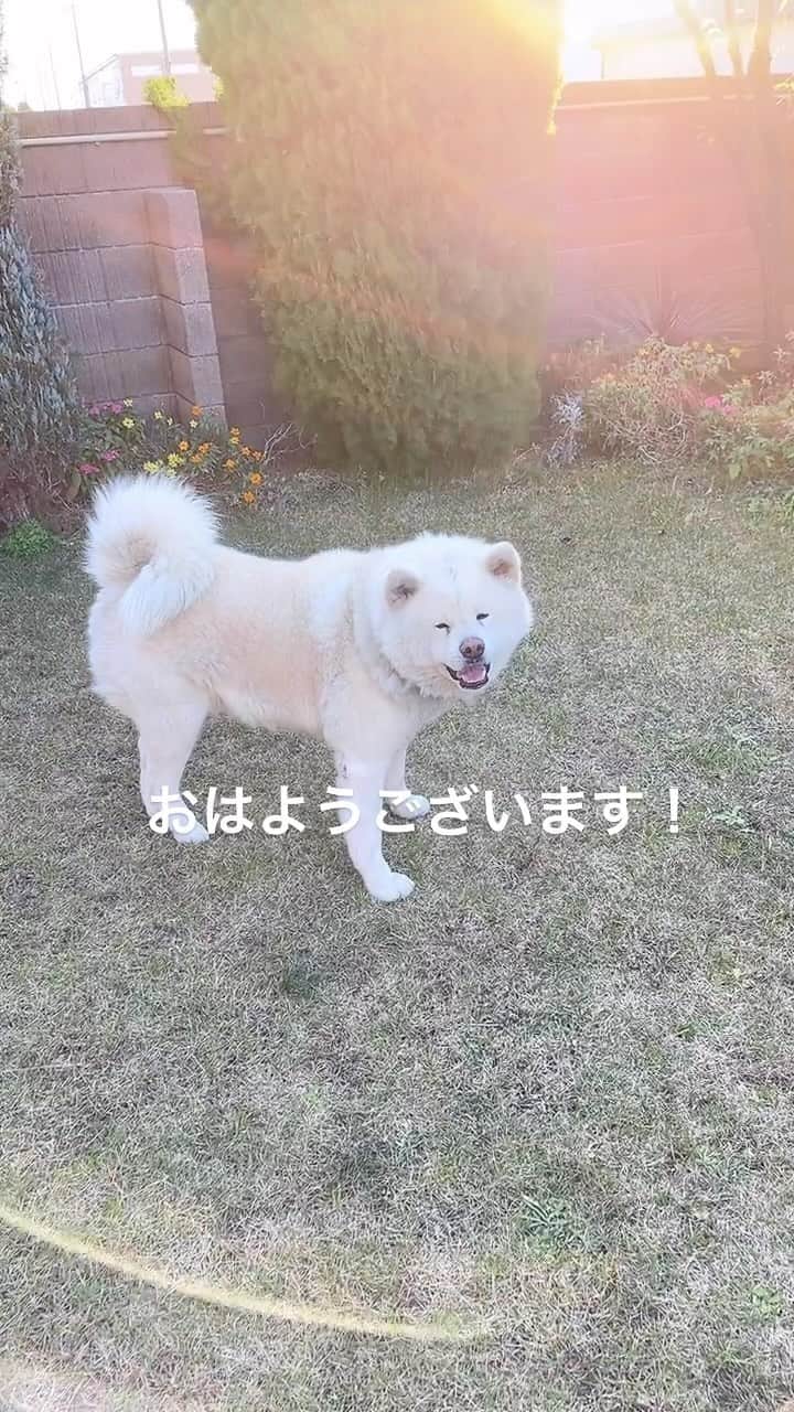 水谷雅子のインスタグラム