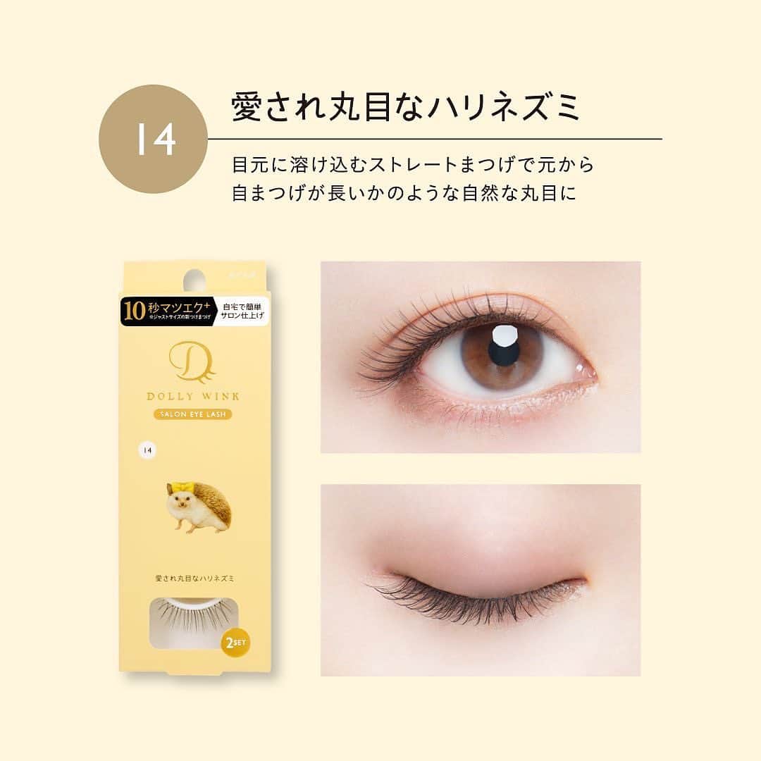 Dolly Winkのインスタグラム：「ㅤㅤㅤㅤㅤㅤㅤㅤㅤㅤㅤㅤㅤ　 𝘿𝙊𝙇𝙇𝙔 𝙒𝙄𝙉𝙆 𝙎𝘼𝙇𝙊𝙉 𝙀𝙔𝙀 𝙇𝘼𝙎𝙃 𝙉𝙀𝙒 𝘿𝙀𝙎𝙄𝙂𝙉  10秒で簡単にマツエク仕上げ。 人気の【10秒マツエク+】シリーズから 新デザイン登場🌟  ドーリーウインク #サロンアイラッシュ ¥1,320(税込)  ┈┈┈┈┈┈┈┈┈┈┈┈┈┈┈ 【14】愛され丸目なハリネズミ 目元に溶け込むストレートまつげで 元から自まつげが長いような自然な丸目に。 ┈┈┈┈┈┈┈┈┈┈┈┈┈┈┈  #DOLLYWINK #ドーリーウインク #サロンアイラッシュ #10秒マツエク＋ #益若つばさ」