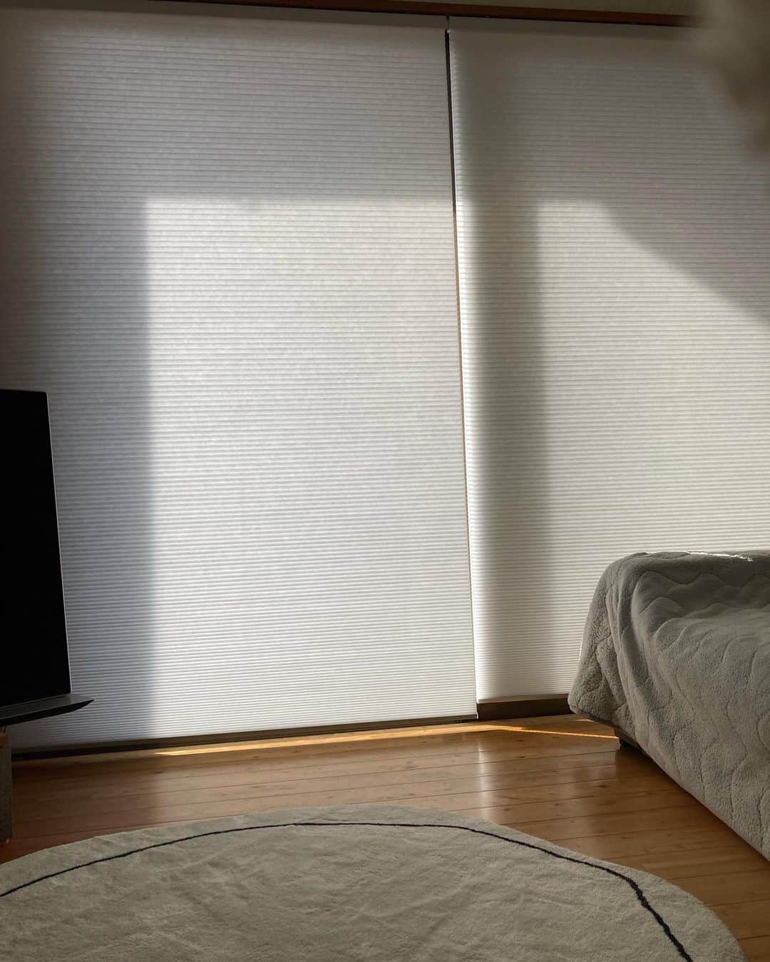 井上花実のインスタグラム：「カーテンをやめてハニカムにかえたら 部屋が広くなった 12月から冬将軍て言ってるから🌬️ 窓まわりの断熱間に合ってよかった ハニカムはAmazonでミリ単位でオーダーしたのと、 他の窓にもニトリのやつも付けてる : #ハニカム#ハニカムスクリーン#ハニカムシェード#カーテンやめた#窓#窓まわり #オーダーカーテン#Amazon#ニトリ#ニトリハニカムシェード#断熱#インテリア#リビング」