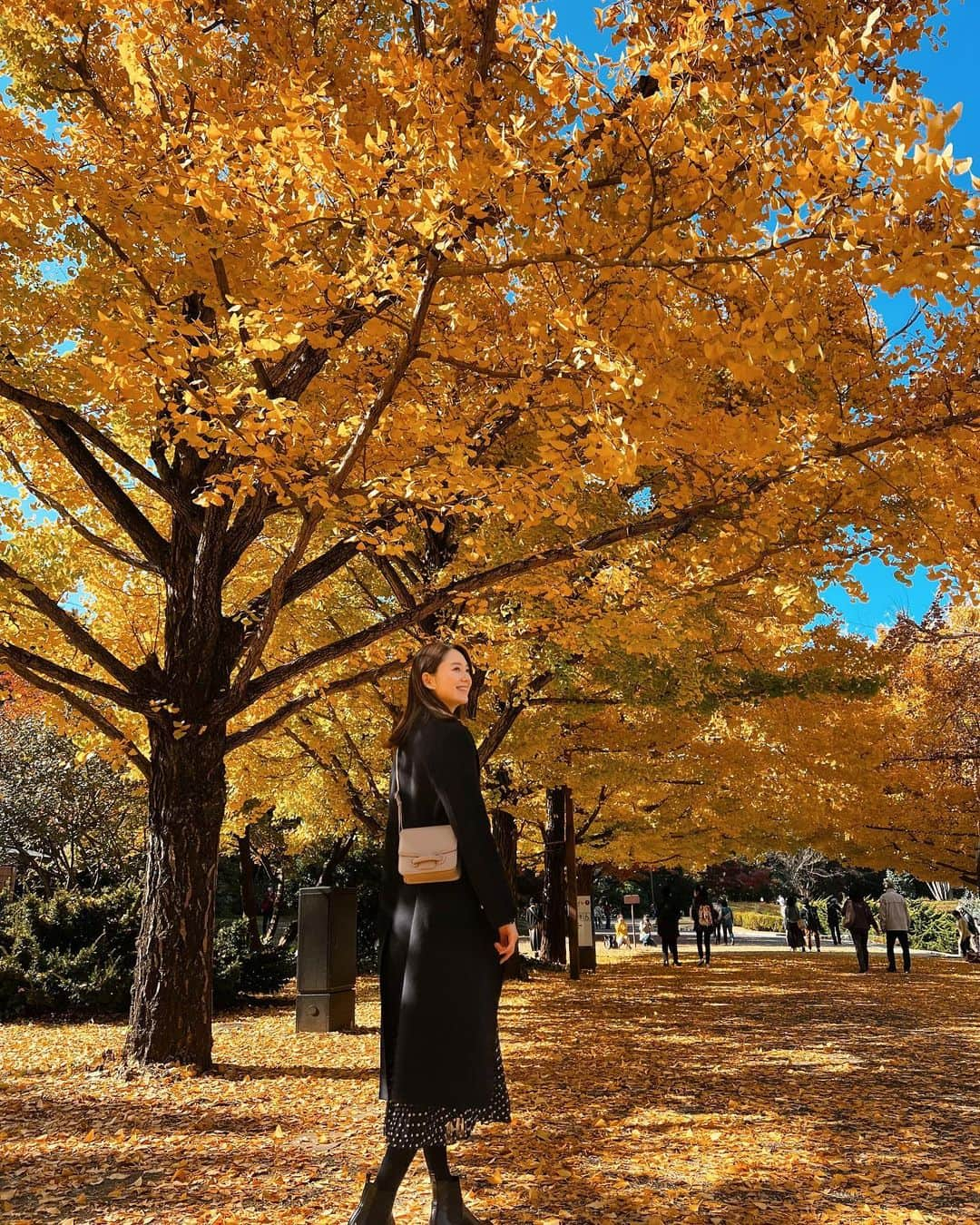 橋本まゆさんのインスタグラム写真 - (橋本まゆInstagram)「少し前の銀杏並木🍁 出遅れてばらつきあったけれどやっぱりここの銀杏並木が好き🤍  #秋#銀杏並木#紅葉」11月25日 12時19分 - macomyu