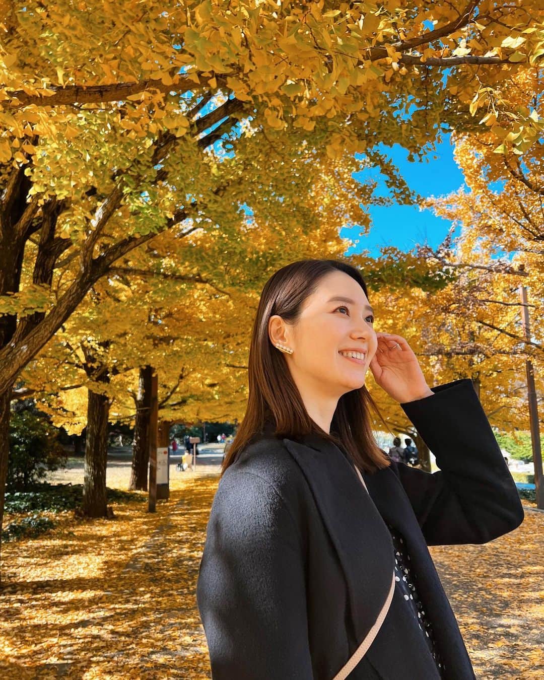 橋本まゆのインスタグラム：「少し前の銀杏並木🍁 出遅れてばらつきあったけれどやっぱりここの銀杏並木が好き🤍  #秋#銀杏並木#紅葉」