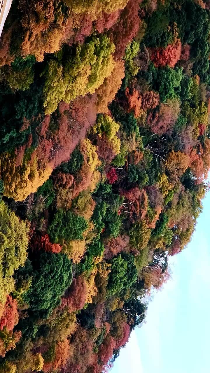 井上ジョーのインスタグラム：「Japan Autum Hot Springs #s22ultra #cinematic #samsunggalaxy #japan #hotsprings #autumn」