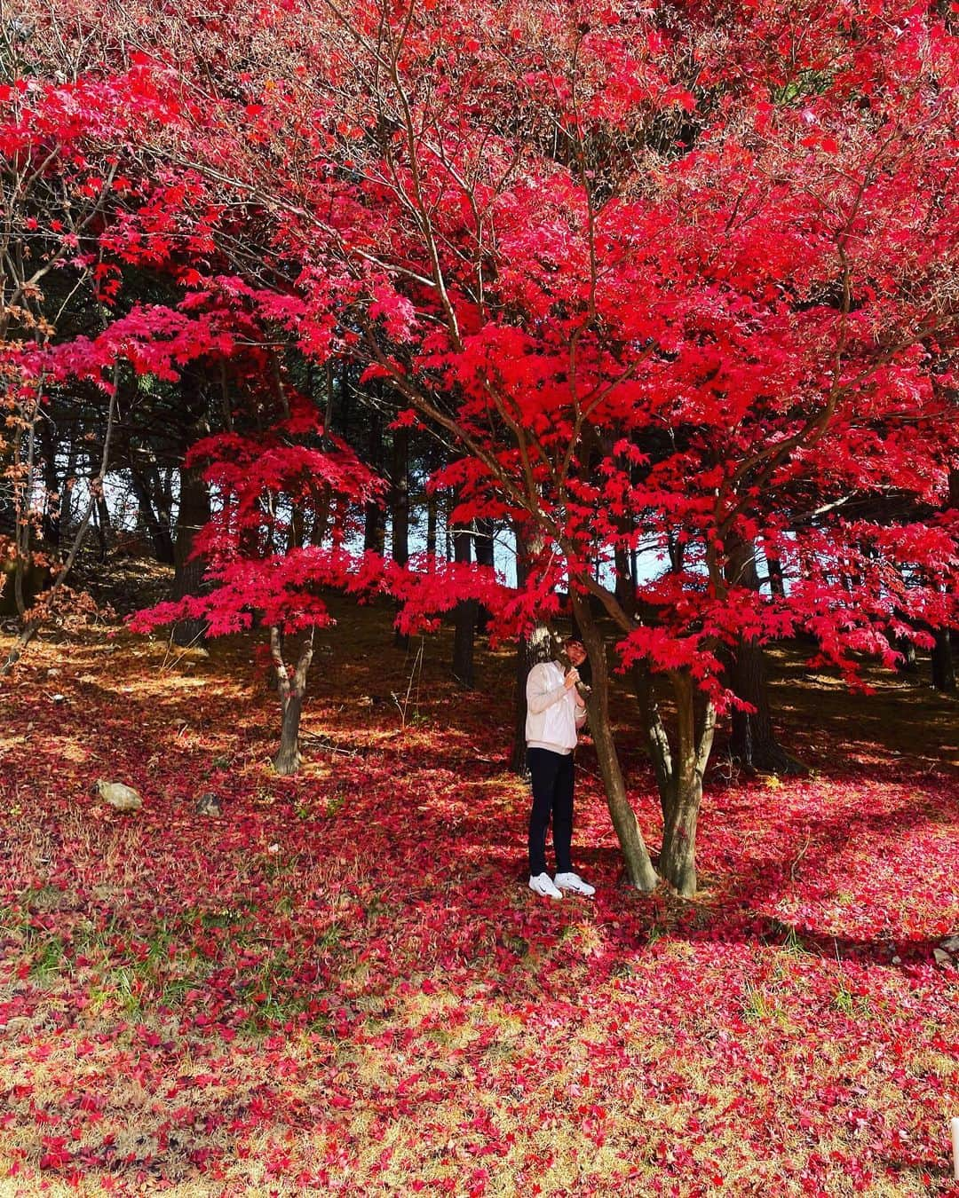 セフン さんのインスタグラム写真 - (セフン Instagram)11月25日 14時08分 - oohsehun