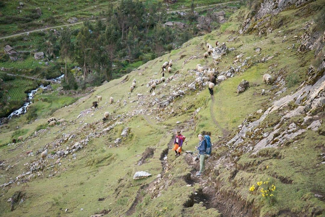 シャーロット・デュリフさんのインスタグラム写真 - (シャーロット・デュリフInstagram)「🇵🇪 Our friends in Pitumarca, Peru are continuing their exemplary development of climbing in the area and are now creating a program to bring local kids to climbing and other activities. It’s better described in their own words, so here is a glimpse of their @gofundme  page, for which you can donate to by clicking on the link in my bio 🙏🏼  “Uma Rumi and 7a Escalada are two Peruvian organizations working towards the development of an outdoor program for the local youth of Pitumarca, Peru. The program seeks to connect the young community to their land and its conservation through a year long outdoor program. In the program we will focus on conservation, health, empathy, community, inclusion and overall positive relationships through climbing, cam  Photos by @joshlrsn @coldhousemedia on our first trip to Pitumarca 😍」11月26日 1時00分 - chadurif