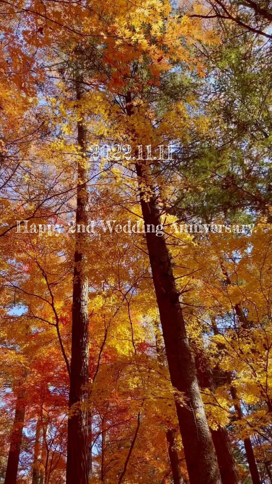 高橋和美のインスタグラム：「. Happy 2nd Wedding Anniversary!! ⁡ ⁡ 2022.11.11」