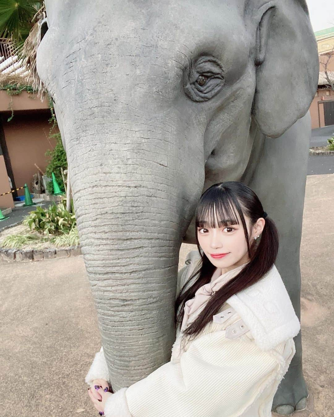 夢乃心咲のインスタグラム：「︎ ︎︎︎︎︎ ︎ ︎︎︎︎︎ 🐘  #aichi #愛知 #nagoya #名古屋 #大須 #idol  #アイドル #おーえすけー #06 #fjk #jk1 #follow #f4f #like4like」