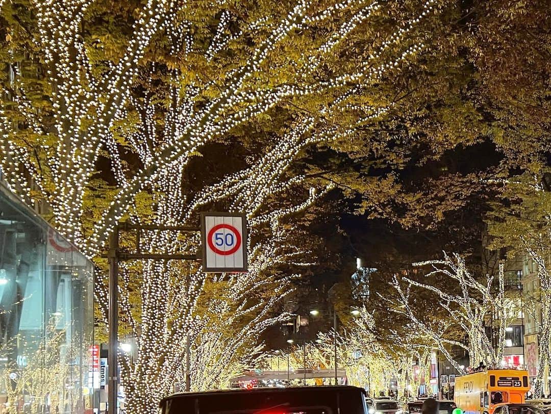 増田順一さんのインスタグラム写真 - (増田順一Instagram)「クリスマス🎄近いね！ みんな楽しそうで笑顔で最高！ 道を歩くだけでこっちまで嬉しくなった！ #表参道 #クリスマス #電飾」12月10日 20時12分 - pokemon_masuda