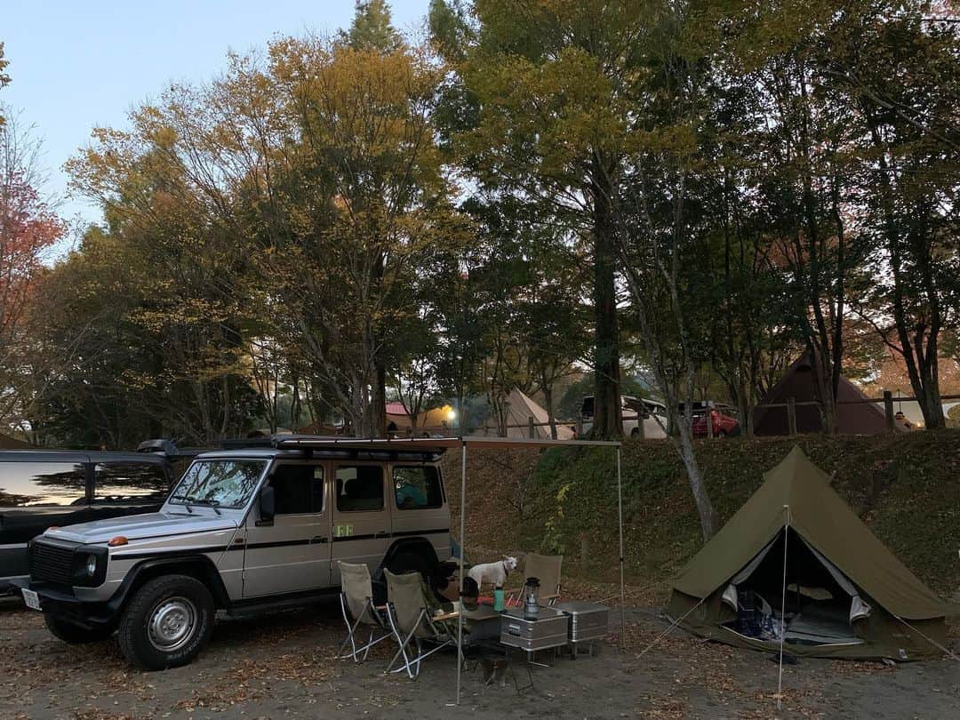 ANNA さんのインスタグラム写真 - (ANNA Instagram)「娘、キャンプデビューしました🏕 (もう先月だけどw) デイキャンプには一度連れて行ったけどテントでお泊まりは初めて👶🏻  寒くないか、危険じゃないか、清潔か、、心配はありましたが沢山装備をしていたので問題なく過ごせました☀️  これからも沢山冒険させてあげたいと思います🍁  コテンと預かり犬のルイくんも楽しそうで良かった🐶🐾  #familycamping #campdog #新米ママ #ファミリーキャンプ #outdoor #doglover #赤ちゃんと犬のいる暮らし」12月10日 21時14分 - anna_flare