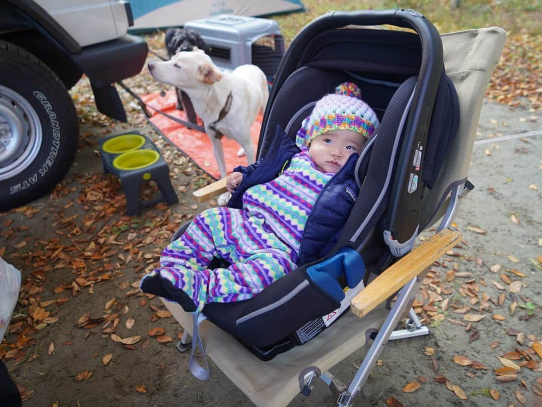 ANNA さんのインスタグラム写真 - (ANNA Instagram)「娘、キャンプデビューしました🏕 (もう先月だけどw) デイキャンプには一度連れて行ったけどテントでお泊まりは初めて👶🏻  寒くないか、危険じゃないか、清潔か、、心配はありましたが沢山装備をしていたので問題なく過ごせました☀️  これからも沢山冒険させてあげたいと思います🍁  コテンと預かり犬のルイくんも楽しそうで良かった🐶🐾  #familycamping #campdog #新米ママ #ファミリーキャンプ #outdoor #doglover #赤ちゃんと犬のいる暮らし」12月10日 21時14分 - anna_flare
