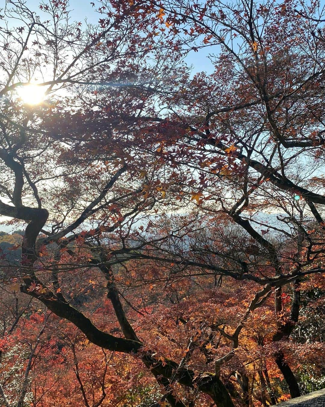 浅井裕華さんのインスタグラム写真 - (浅井裕華Instagram)「🍁 #京都 #紅葉」12月10日 21時54分 - yuka1110_