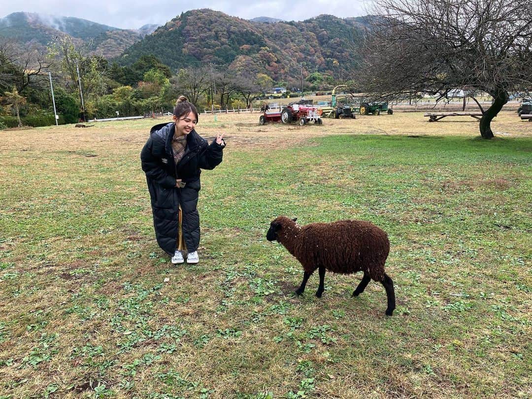 のインスタグラム：「本日　 #SHINPA ご来場いただきました皆様 ありがとうございました。  私も今日初めて映像を観て すごく楽しい時間でした。  素敵な作品に出演できて 光栄です。  また機会があれば是非 沢山の方々に観て頂きたいです。  『嗚呼、かくも牧場は緑なりけり』」