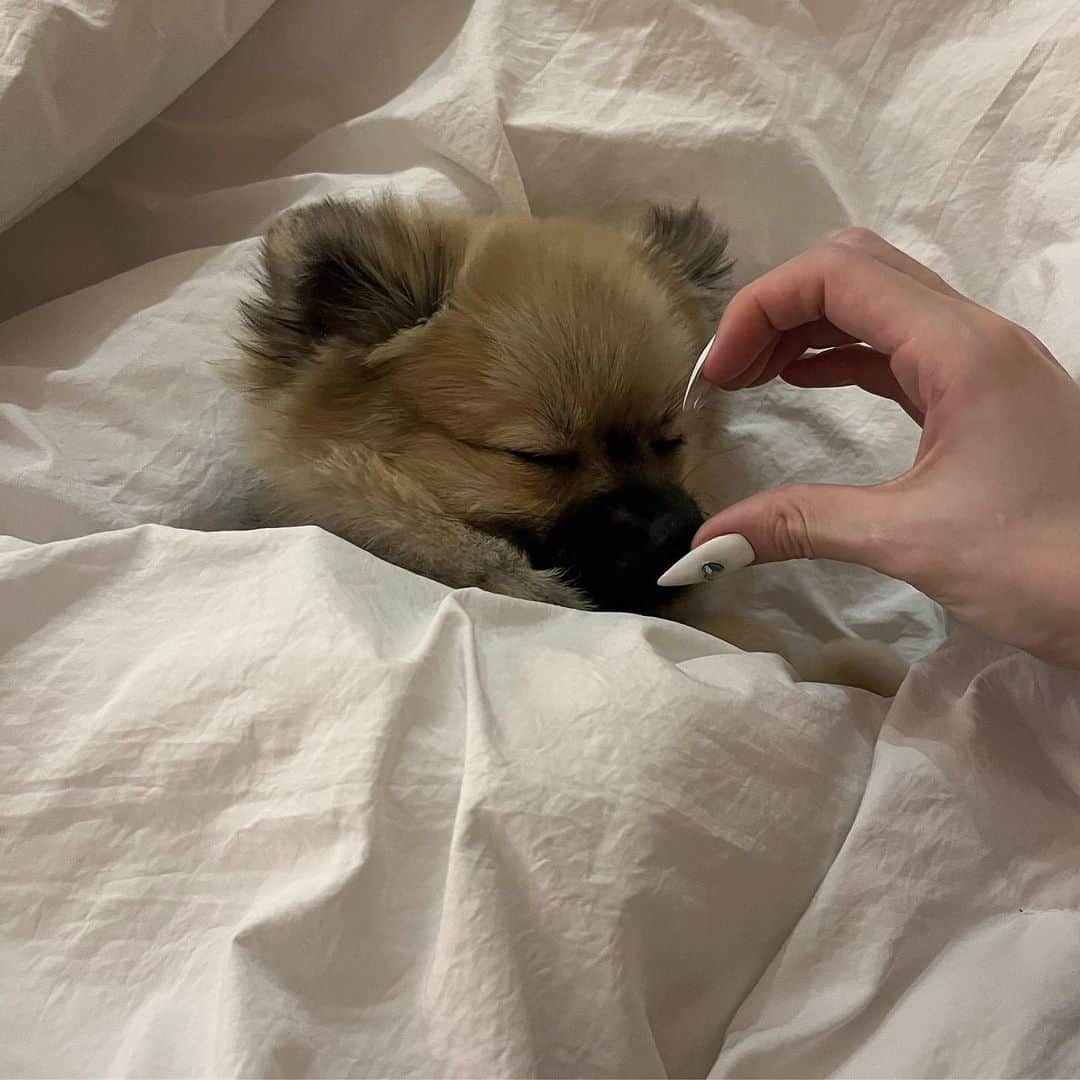 のインスタグラム：「사항해💗구리」