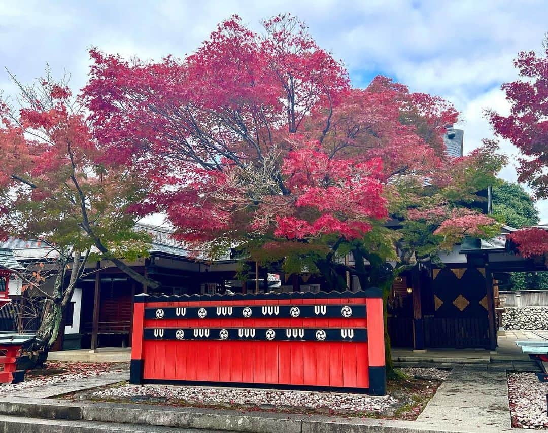 谷尻萌さんのインスタグラム写真 - (谷尻萌Instagram)「車折神社(くるまざきじんじゃ) 11/21  紅葉が鳥居や玉垣の赤と重なってすっごく綺麗やったんよ〜🍁  ここ訪れた後、今宮戎の福娘に選んでいただいたので もえ予報でお礼を伝えに行けて嬉しかったわ〜❤︎  車折神社の境内にある芸能神社へ 玉垣の奉納をしてきたので お近くの方、良かったら探してみて〜⛩✨👀  私はまた〜京都帰って来た時 お参り行こっと〜♪☺️💓  #めざましどようび #もえ予報 #京都 #嵐山 #車折神社 #芸能神社」11月26日 11時14分 - tanijiri_moe