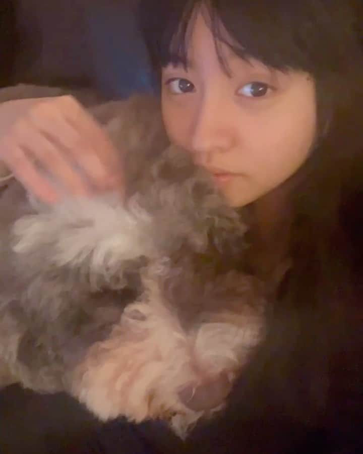 のインスタグラム：「2ヶ月ぶりのこのモコモコ感🥰😭 癒されます💘」