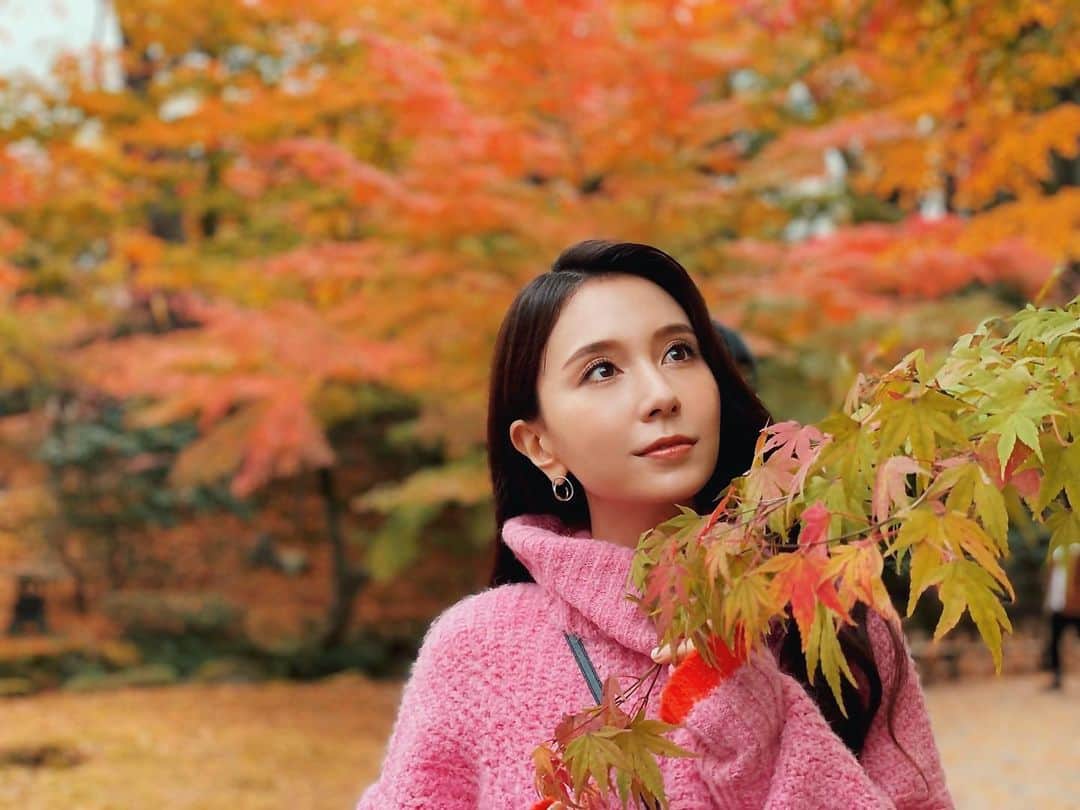 May J.のインスタグラム：「「朝だ！生です旅サラダ」観てくれたみんなありがとう！ 私の旅レポートはいかがでしたか？ 初めてゆっくり石川県を楽しむことができてとても嬉しかったです🍁  蟹さん🦀美味しかったなぁ❤️ 生ナレーションもあり始めは緊張していたけど、スタジオにいた皆さんがとてもフレンドリーですぐに溶け込むことができました！ またすぐに旅に行きたいなぁ🥰  さぁ、これから西宮ガーデンズでライブ！みんな待っててね〜✨  #蟹三昧 #石川県 #旅サラダ #兼六園 #那谷寺 #メタセコイヤ大通り」
