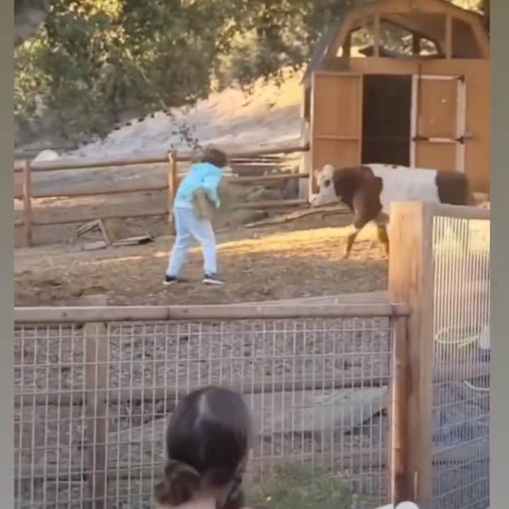 レッドフーのインスタグラム：「Don’t have a cow cause I love my cows. ❤️」