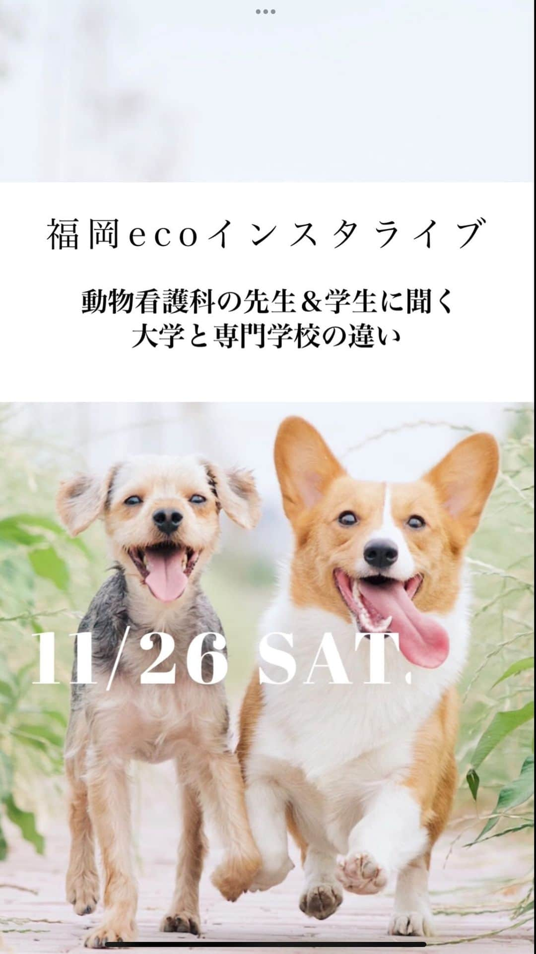 【公式】福岡ECO動物海洋専門学校のインスタグラム：「動物看護師になるには大学？専門学校？  動物看護科の在校生と先生が、進路に迷っている方に向けて質問にお答えします🐾  #福岡eco #福岡eco動物海洋専門学校 #動物専門学校 #大学 #専門学校 #動物 #獣医 #進路 #動物看護師」