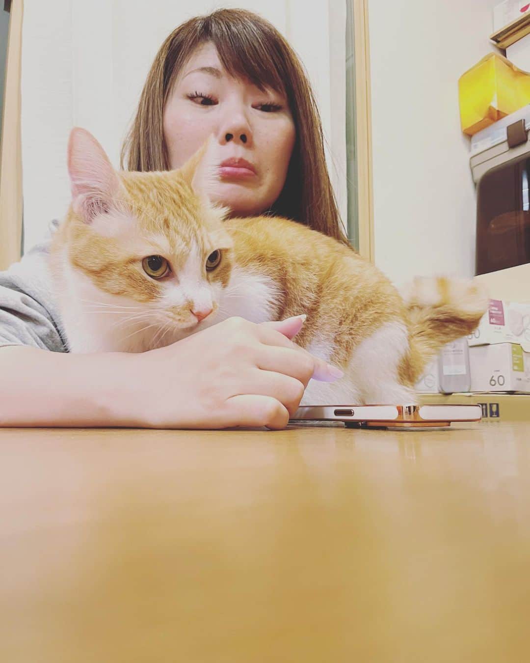 ブラザー4チャンネルのインスタグラム：「撮影後の一コマ ⁡ スマホを見てるママ✨ ⁡ それを阻止して構ってほしいアキちゃん🐱 ⁡ それを見て笑ってるなーたん😆 ⁡ 今日も平和な我が家ですw ⁡ ⁡ #brother4 #YouTuber #仲良し兄弟 #猫 #かまってちゃん」