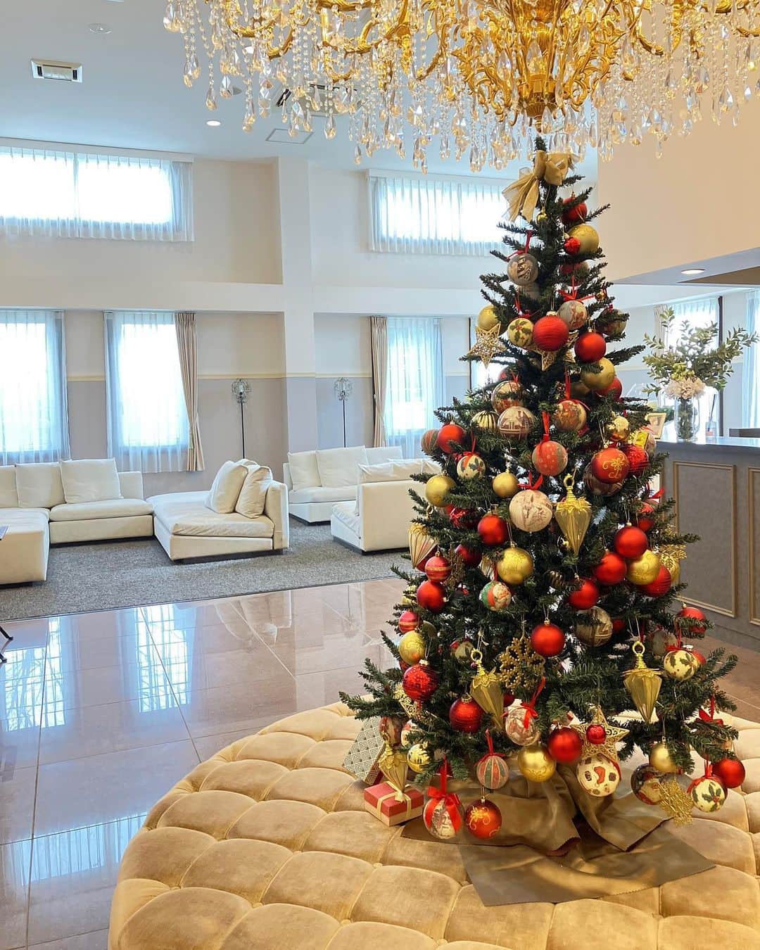 ティアラガーデンズ伊勢崎のインスタグラム：「クリスマスまで、あと1か月をきりましたね。 ティアラガーデンズ伊勢崎でも、恒例のツリーを出しました！  期間限定のクリスマスツリー  ぜひ見に来てください！  ティアラガーデンズ伊勢崎 卒花嫁の皆様へ  今年もクリスマスパーティーの開催は見送ることとなりました… 楽しみにしてくださっている皆様、申し訳ございません。  個別でクリスマスディナーのご予約は承りますので、ご希望の方は直接お問合せください。  #クリスマスツリー  #クリスマスディナー  #シャンデリア  #群馬結婚式」