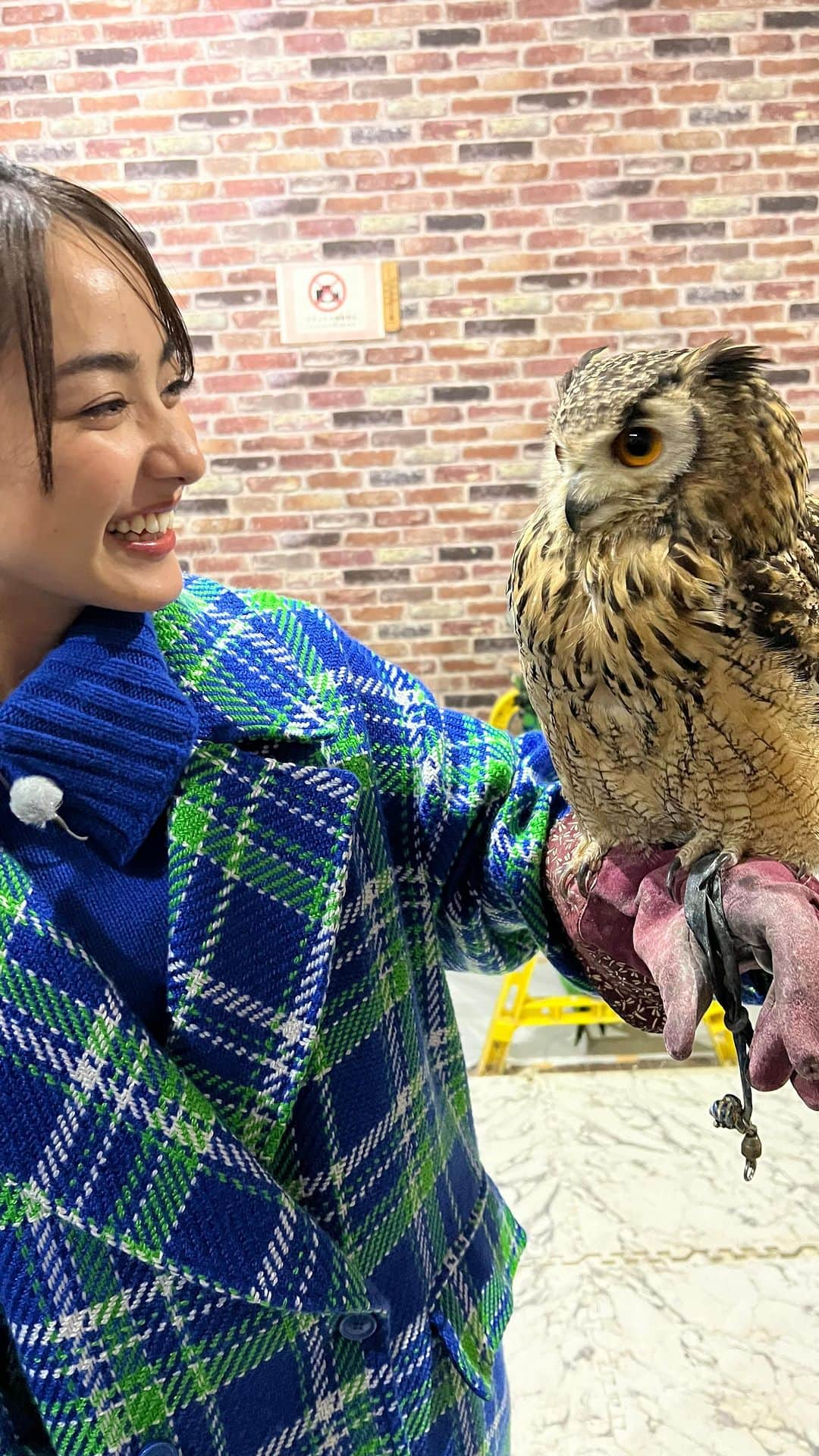 平祐奈のインスタグラム